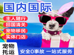 郑州新郑机场空运国际宠物托运 【国